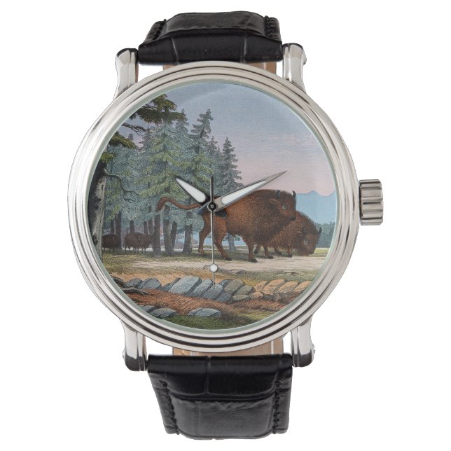 Zwei wilde Ochsen. Farblithographie Armbanduhr (Vorderseite)