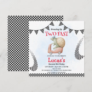 Zwei Wildschildkrötenfahrräder 2. Geburtstag Party