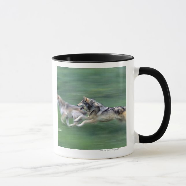 Zwei Wölfe in der Gebirgswiese Tasse (Rechts)