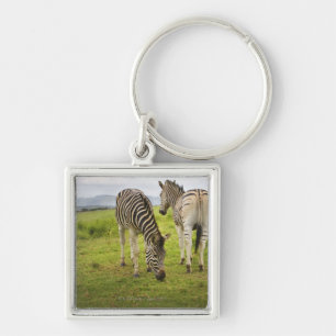 Zwei Zebras, Südafrika Schlüsselanhänger