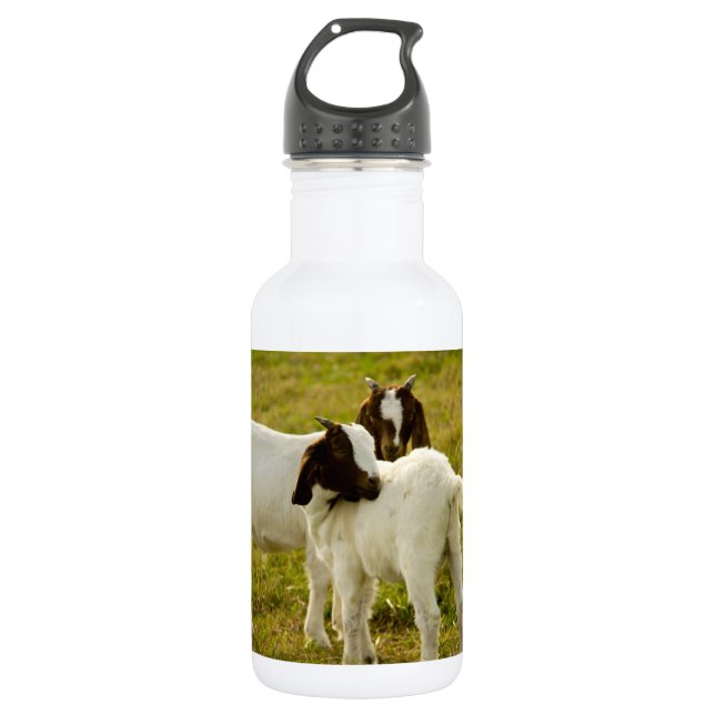 Zwei Ziegen Trinkflasche (Vorderseite)