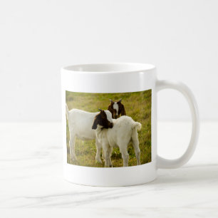 Zwei Ziegenboote Niedlich Kaffeetasse