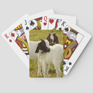 Zwei Ziegenboote Spielkarten