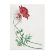 Zwei Zweige mit einer Blume - Michiel van Huysum. 
