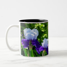 Zweifarbige Iris-Beauties Tasse