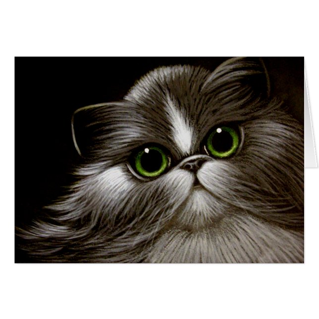 ZWEIFARBIGER PERSISCHER CAT IRGENDEINE GELEGENHEIT (Vorderseite (Horizontal))
