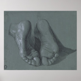 Zweifühlige Studie von Albrecht Durer Poster