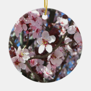 Zweig der rosa Blüten Frühlingsflora Keramikornament