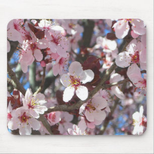 Zweig der rosa Blüten Frühlingsflora Mousepad