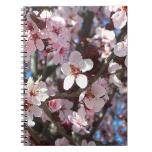Zweig der rosa Blüten Frühlingsflora Notizblock