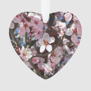 Zweig der rosa Blüten Frühlingsflora Ornament