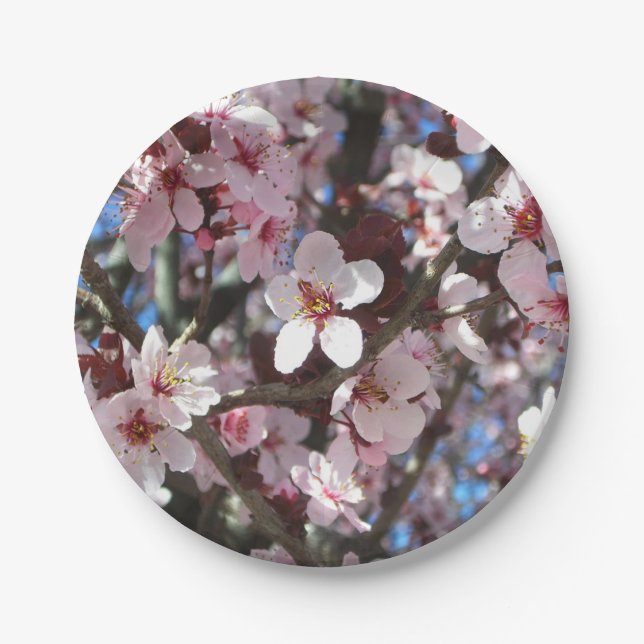 Zweig der rosa Blüten Frühlingsflora Pappteller (Vorderseite)