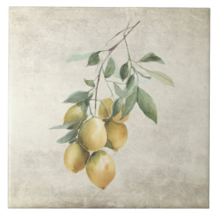 Zweig der Zitrone Mittelmeer-Aquarelle Rustikal Fliese