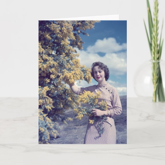 Zweig in Canberra - Retro Karte (Vorderseite)