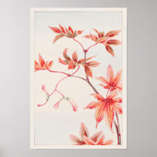 Zweig von Momiji Maple Tree von Megata Morikaga Poster
