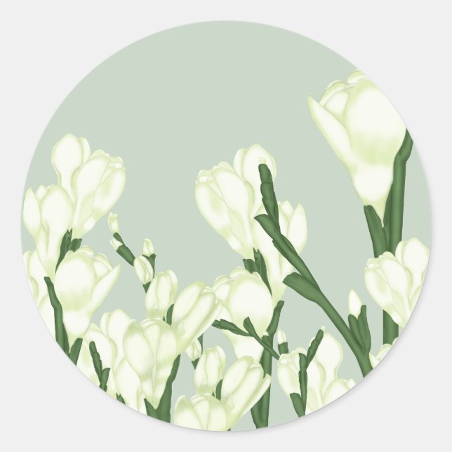 Zweig von weißem Freesia. Runder Aufkleber (Vorderseite)