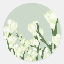 Zweig von weißem Freesia.