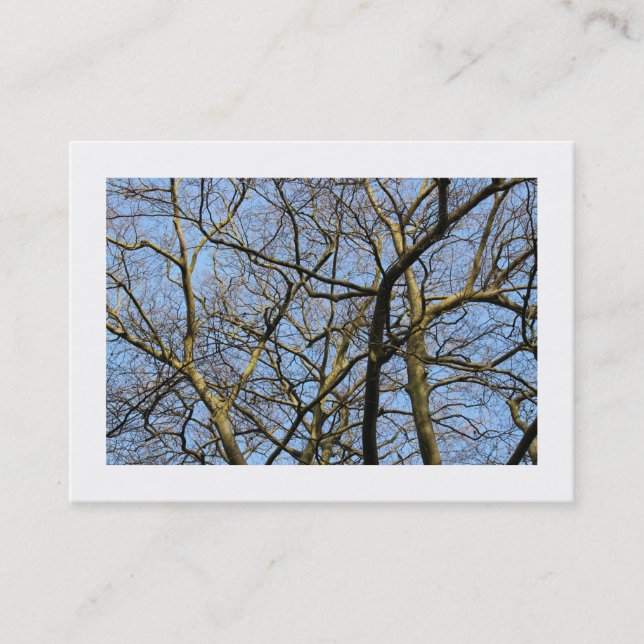 Zweige (begrenzt) visitenkarte (Vorderseite)