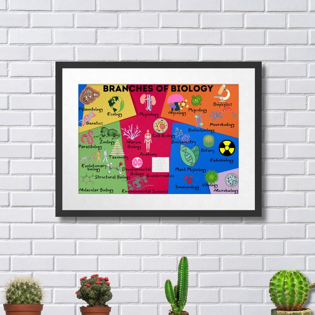 Zweige der Biologie Poster (Von Creator hochgeladen)