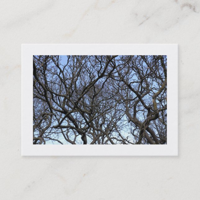 Zweige der Magnolia-Bäume (grenzt) Visitenkarte (Vorderseite)
