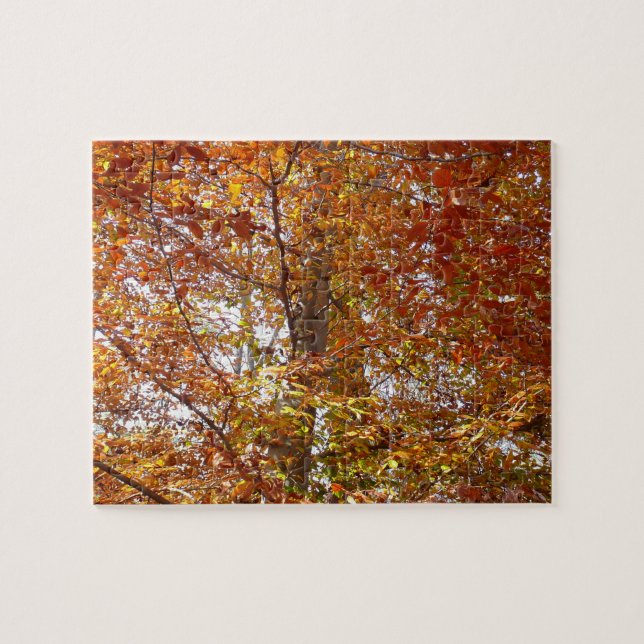 Zweige der Orangen Blätter Herbstnatur (Horizontal)