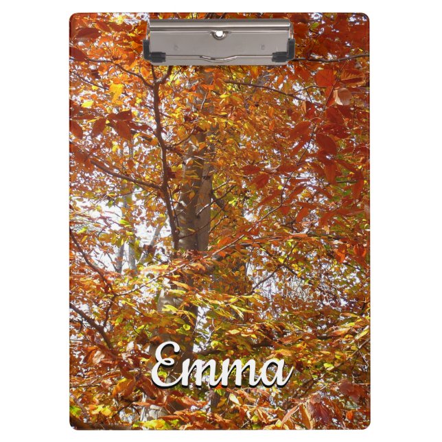 Zweige der Orangen Blätter Herbstnatur Klemmbrett (Vorderseite)