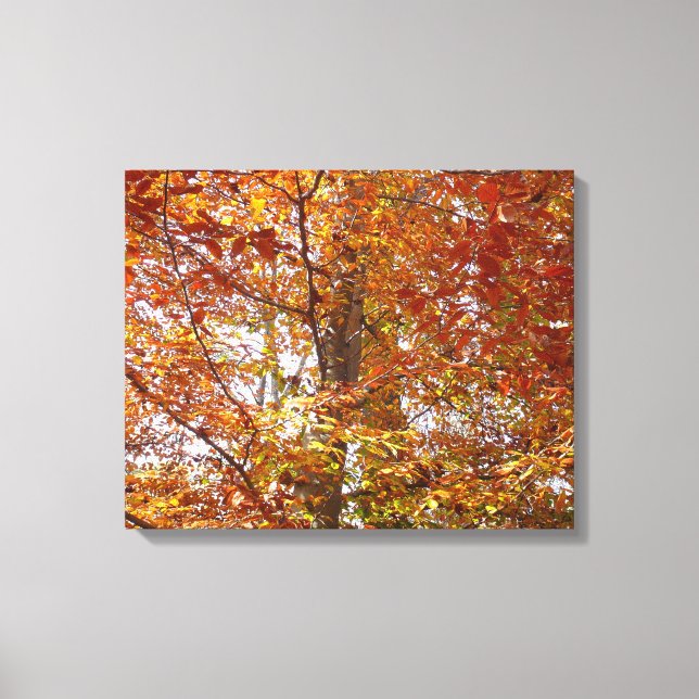 Zweige der Orangen Blätter Herbstnatur Leinwanddruck (Vorderseite)