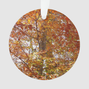 Zweige der Orangen Blätter Herbstnatur Ornament