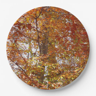 Zweige der Orangen Blätter Herbstnatur Pappteller