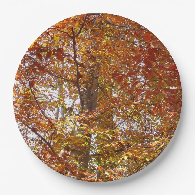 Zweige der Orangen Blätter Herbstnatur Pappteller (Vorderseite)