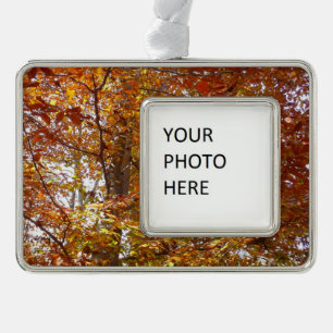 Zweige der Orangen Blätter Herbstnatur Rahmen-Ornament Silber