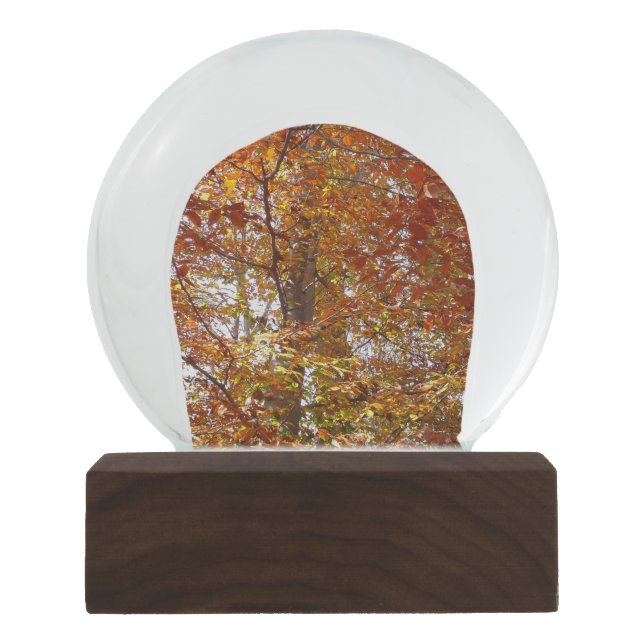 Zweige der Orangen Blätter Herbstnatur Schneekugel (Vorderseite)