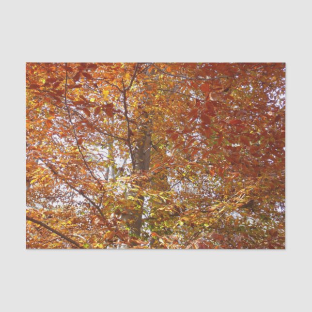 Zweige der Orangen Blätter Herbstnatur Seidenpapier (Vorderseite)