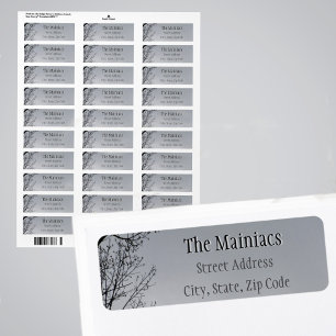 Zweige der schwarzen Silhouette Graue Rücksendeadr