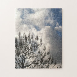 Zweige in den Wolken