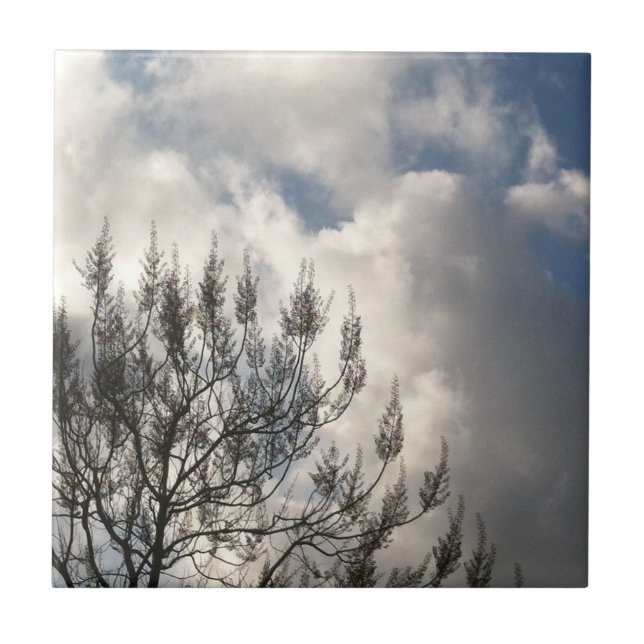 Zweige in den Wolken Fliese (Vorderseite)