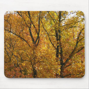 Zweige mit gelben Blättern in strahlendem Herbstla Mousepad