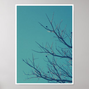 Zweige Poster