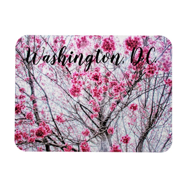 Zweige und Blüten eines Kirchenbaumes Magnet (Horizontal)