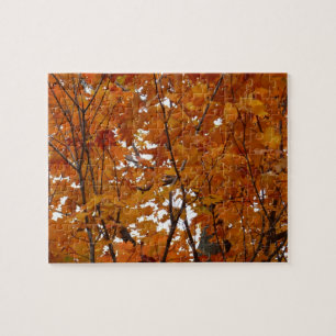 Zweige von Ahornblättern I Orange Herbst