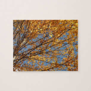 Zweige von Ahornblättern II Orange Herbst