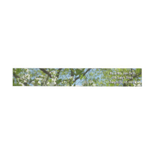 Zweige von Dogwood-Blüten Frühlingsbäume
