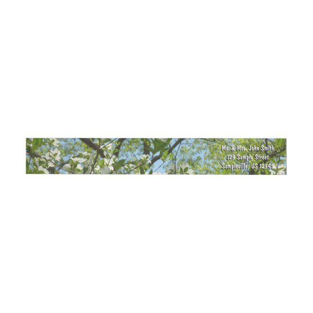 Zweige von Dogwood-Blüten Frühlingsbäume (Person)