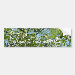 Zweige von Dogwood-Blüten Frühlingsbäume Autoaufkleber