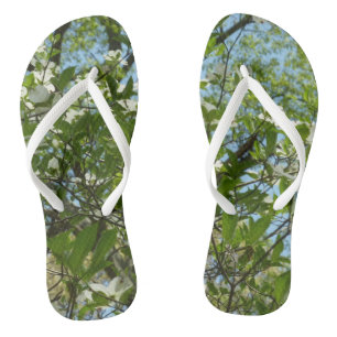 Zweige von Dogwood-Blüten Frühlingsbäume Flip Flops