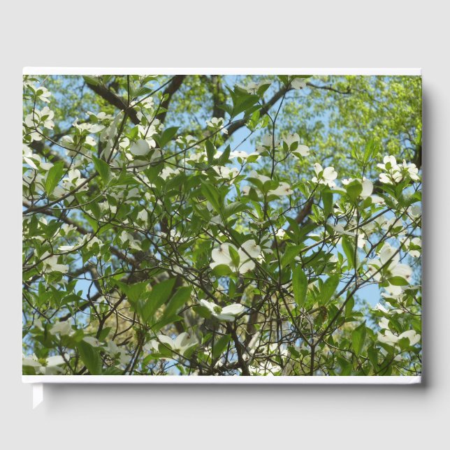 Zweige von Dogwood-Blüten Frühlingsbäume Gästebuch (Vorderseite)