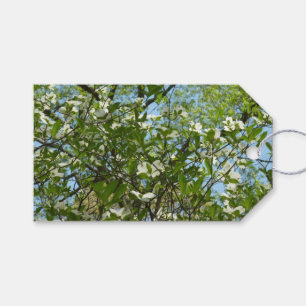 Zweige von Dogwood-Blüten Frühlingsbäume Geschenkanhänger