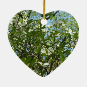 Zweige von Dogwood-Blüten Frühlingsbäume Keramikornament