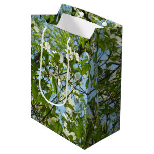 Zweige von Dogwood-Blüten Frühlingsbäume Mittlere Geschenktüte