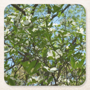 Zweige von Dogwood-Blüten Frühlingsbäume Rechteckiger Pappuntersetzer